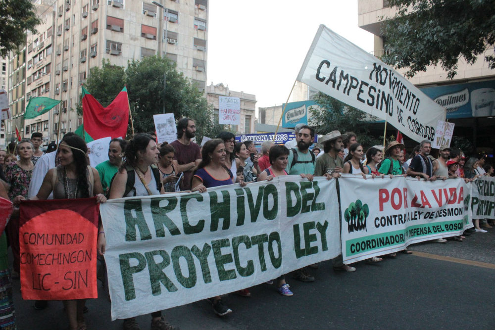 COntra el desmonte 1 