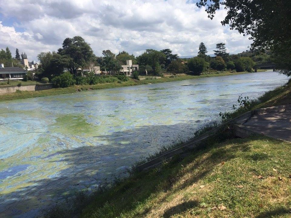 lago contaminado 4 