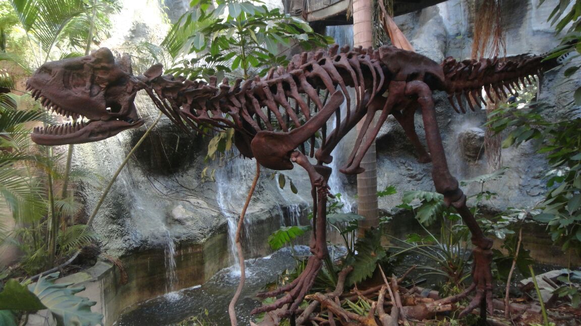 Zoo de córdoba paleontólogos por un día 