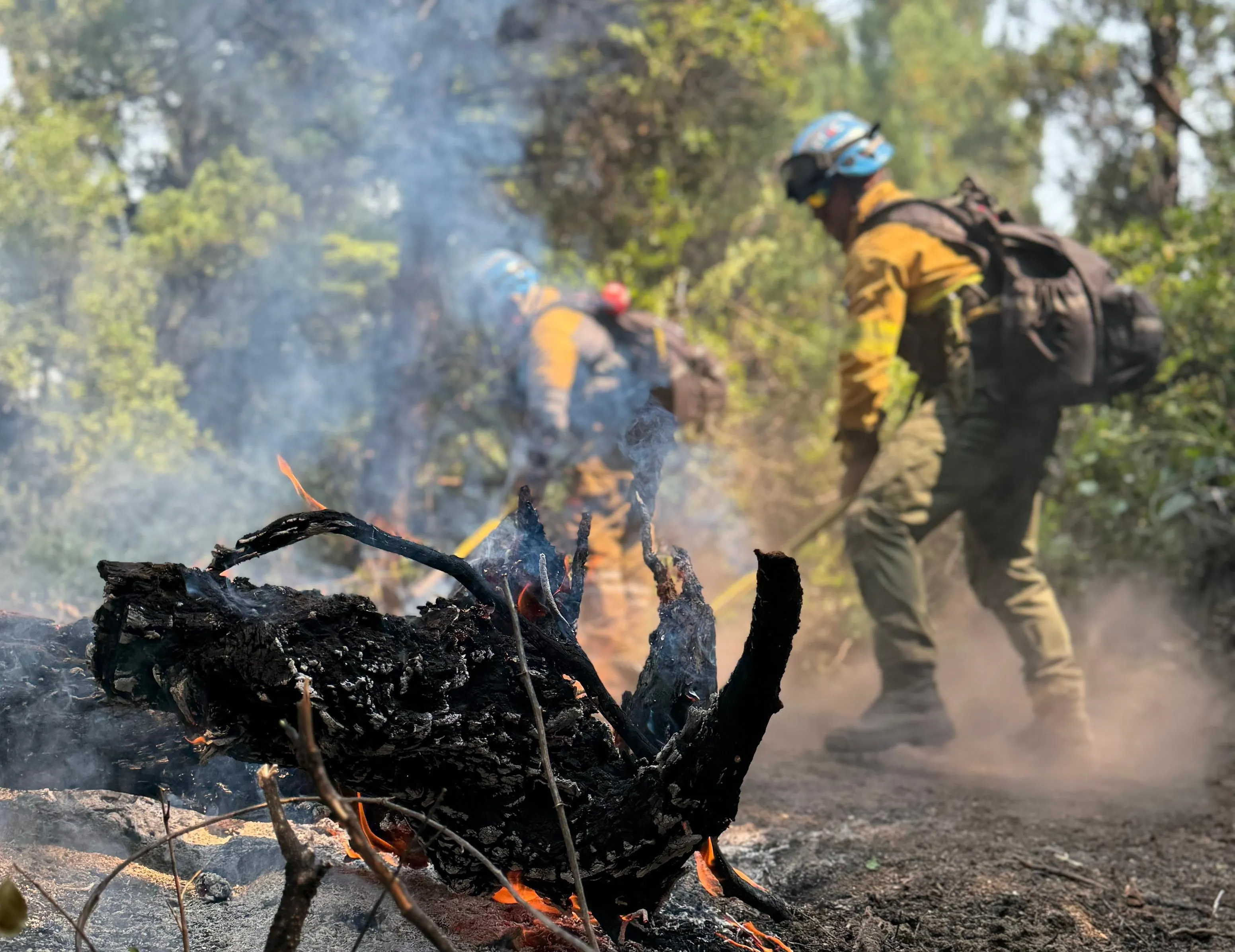 La Policía detuvo a un hombre acusado de provocar un incendio que arrasó 15 hectáreas en Punilla thumbnail