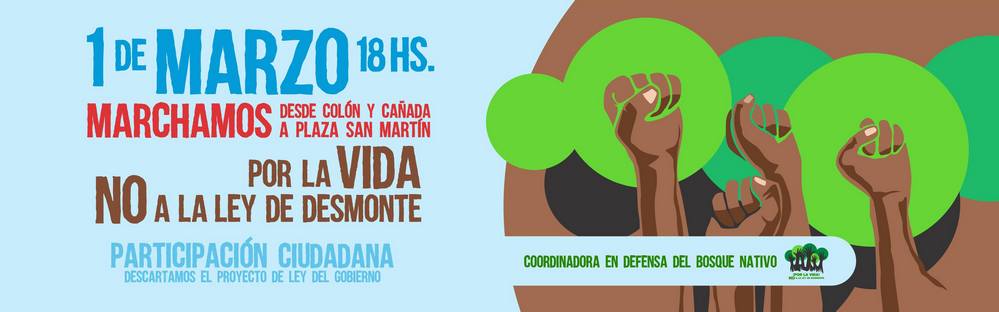 Asamble en defensa del bosque nativo 