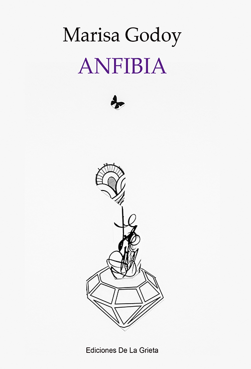 Tapa_Anfibia