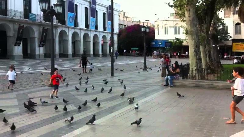 palomas