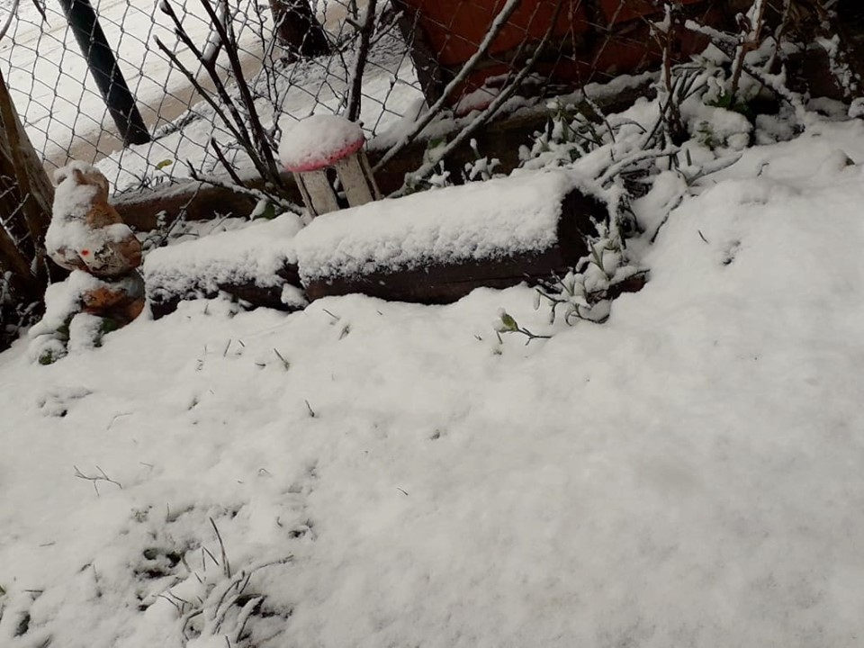 san pedro norte nieve 56
