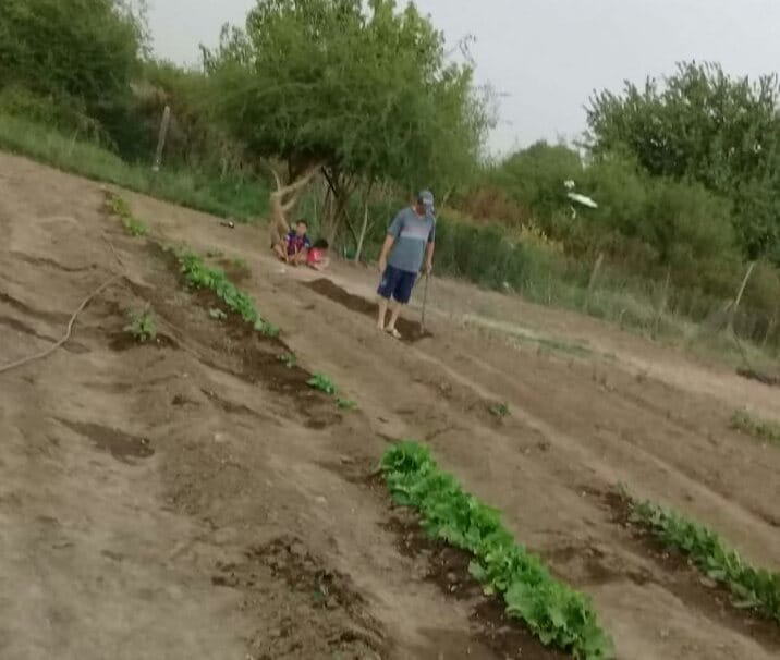 Huerta en la que trabajaba Marcos Soria 