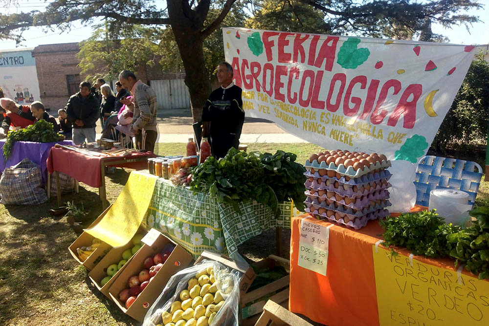 Agricultura Familiar 13