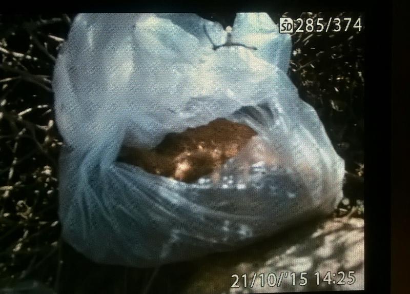 PELO HUMANO 2 EN CERRO CORONA 