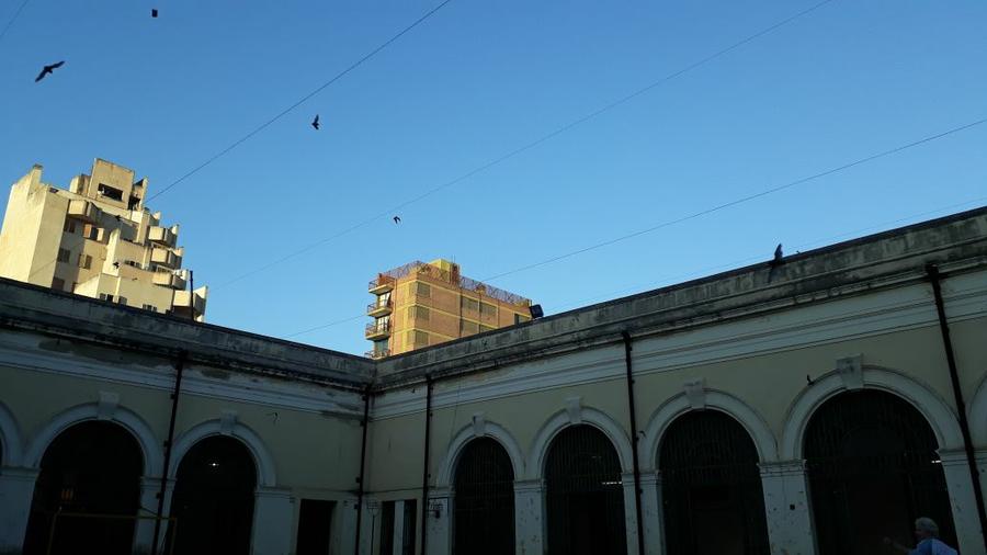 murcielagos carbó 2 by @radiomitrecordoba