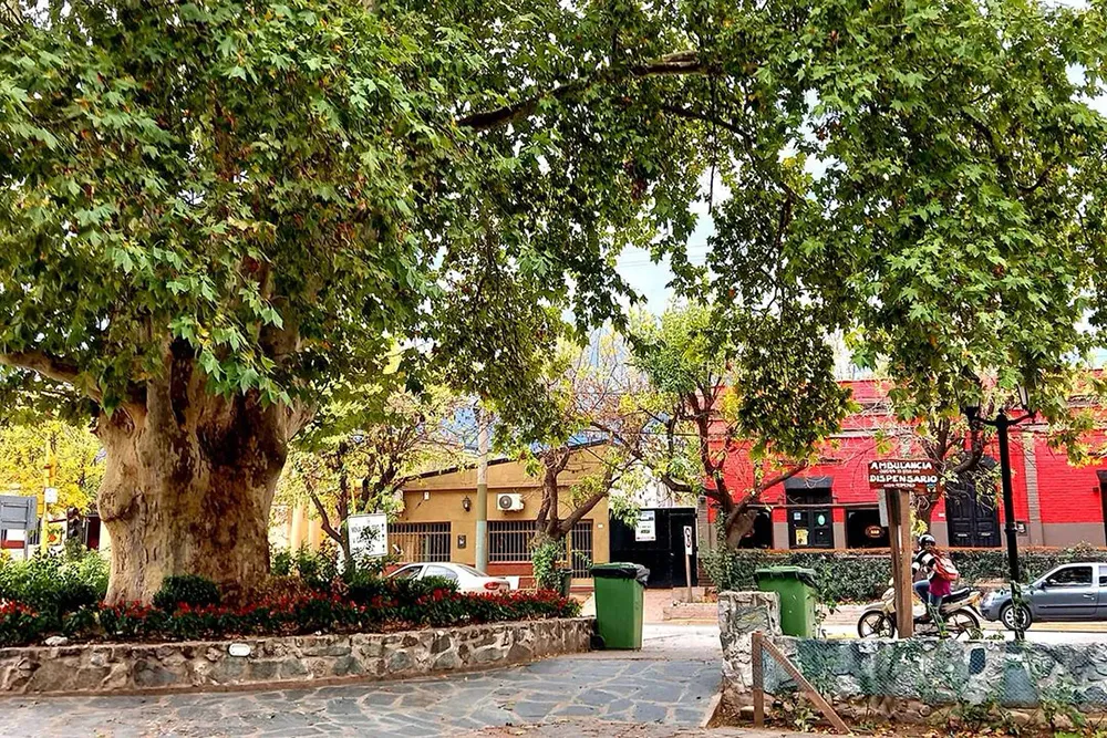 Villa las rosas © Muni Villa las rosas