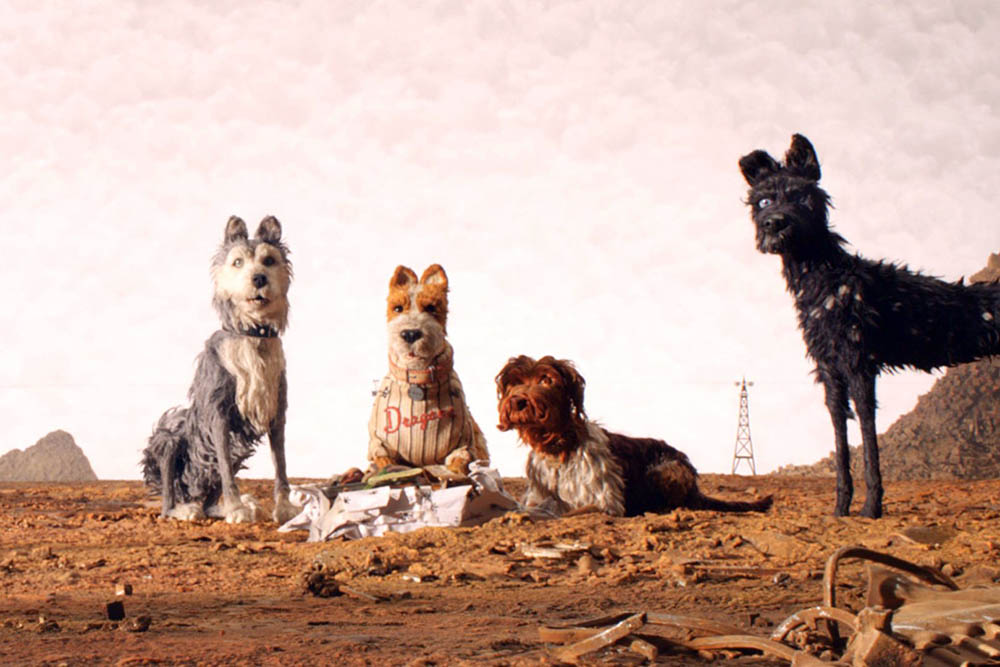 Isla Perros00003