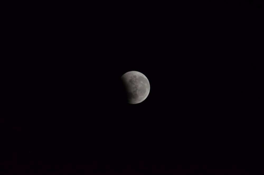 DSC_0396