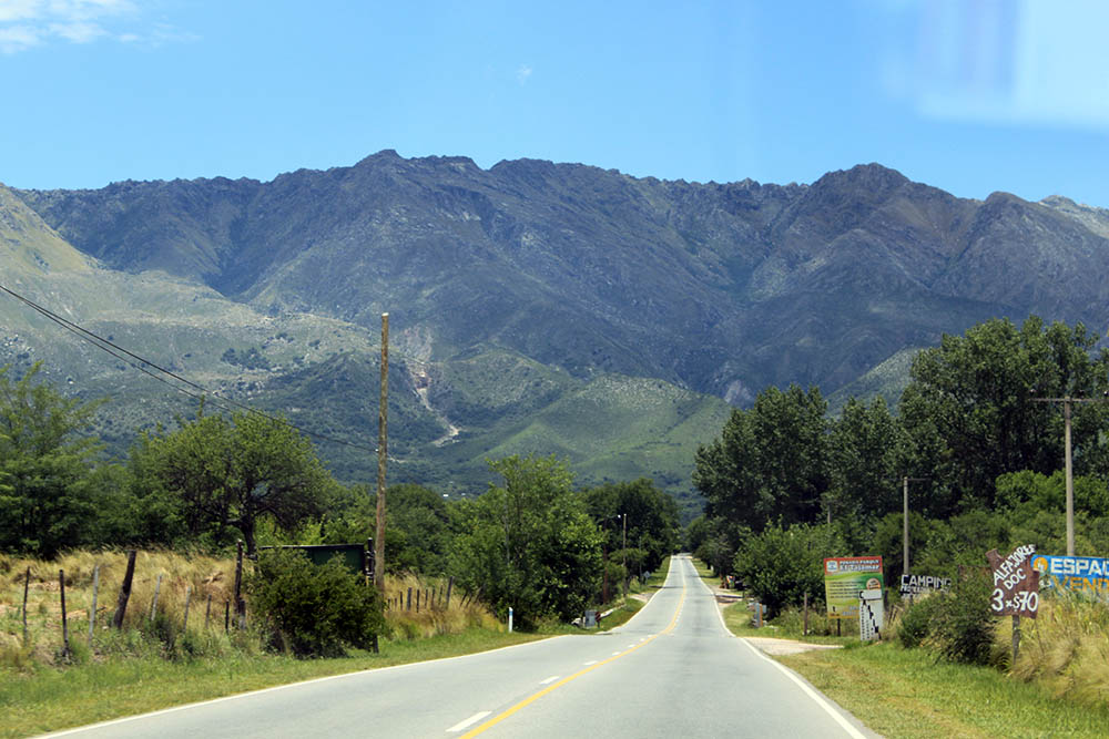 La viña © vanina boco 00008