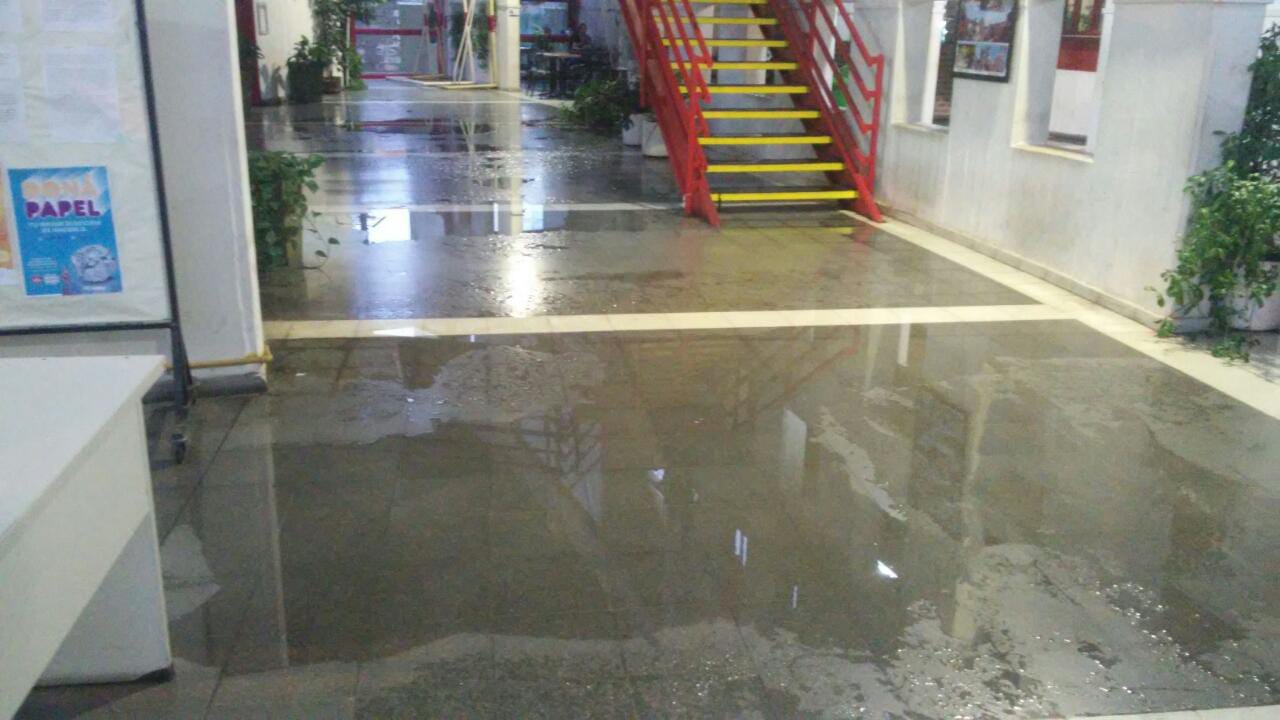 WhatsApp Image 2020-02-05 at 07.25.07