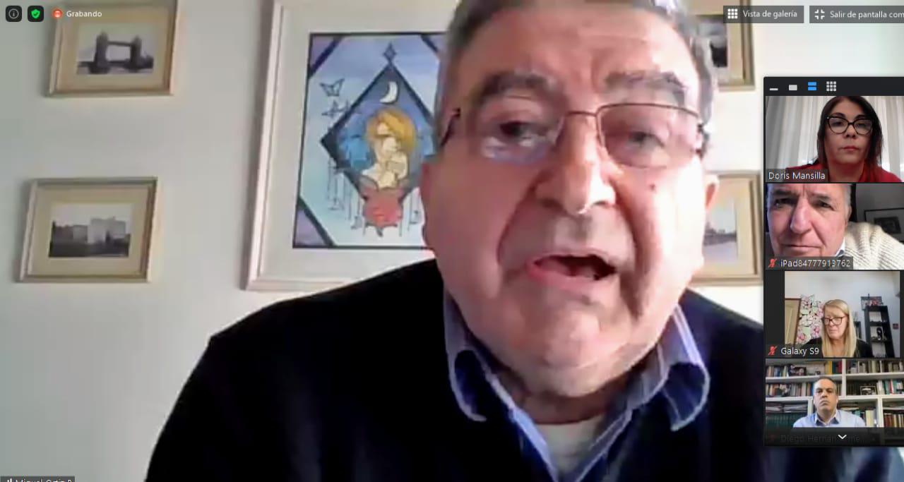 Ortiz Pellegrini Zoom