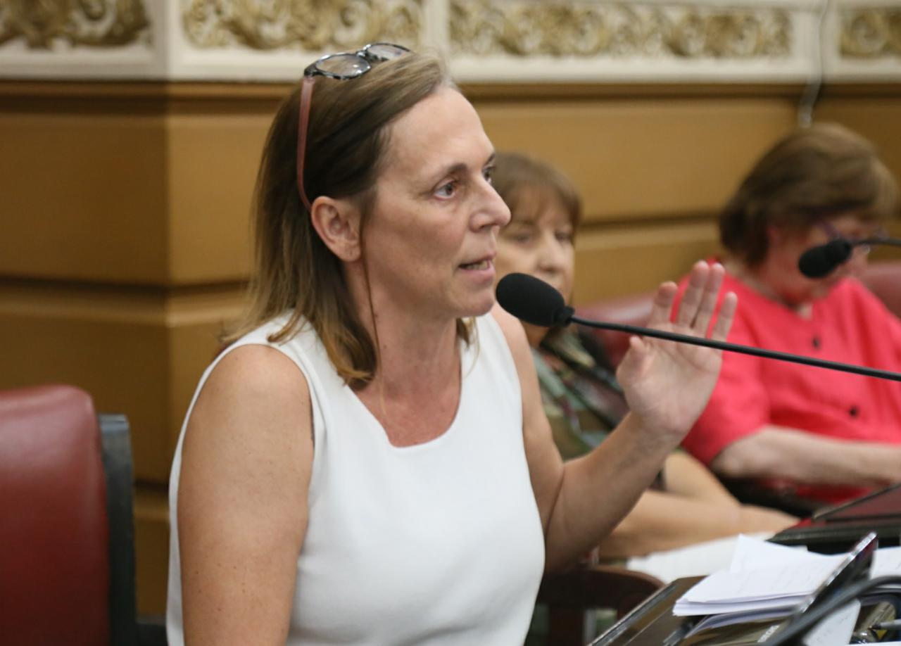 Liliana Montero Prensa Legislatura 250919 (7)