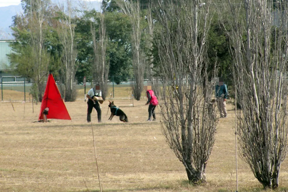Adiestramiento parque