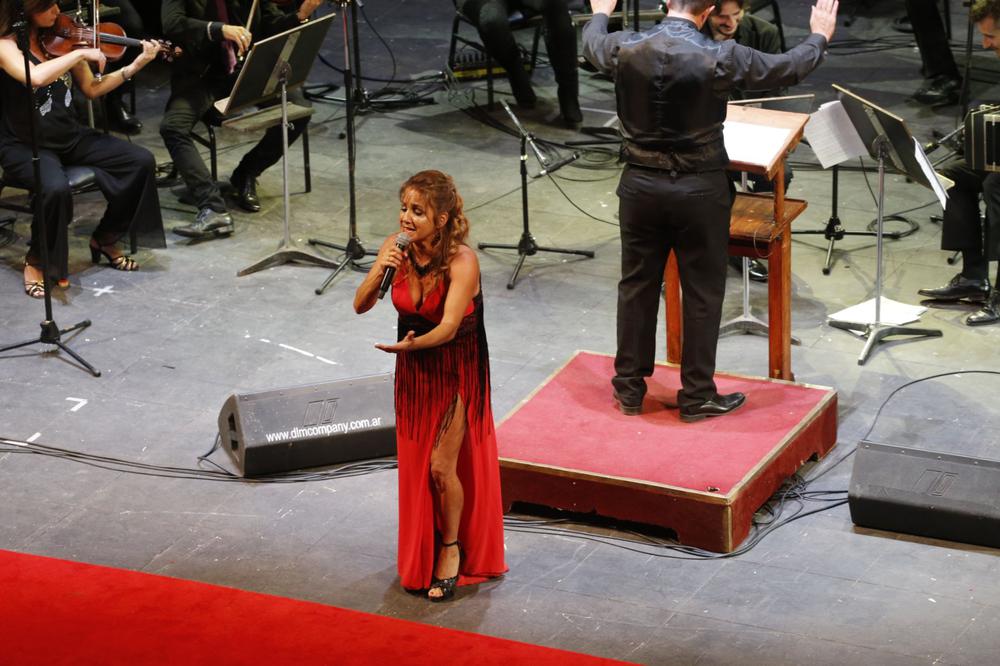 FDLP Homenaje Joaquín Sabina@Javier Imaz (2)