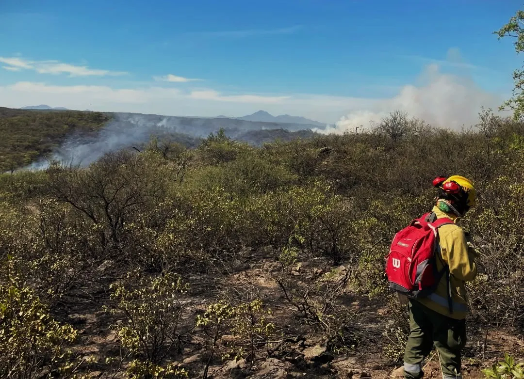 Está contenido el incendio en cercanías de Charbonier y habilitan la Ruta 38 mano al norte thumbnail