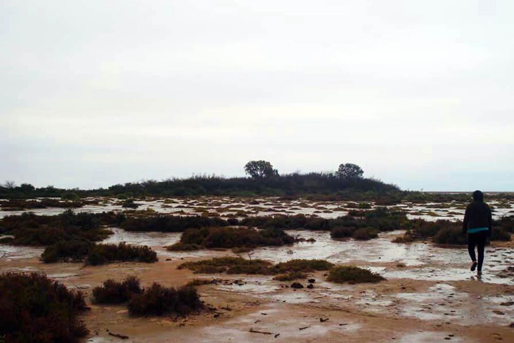 03 desalojo