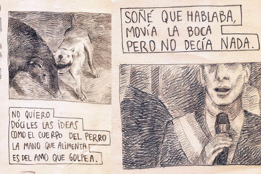 cerbellera02