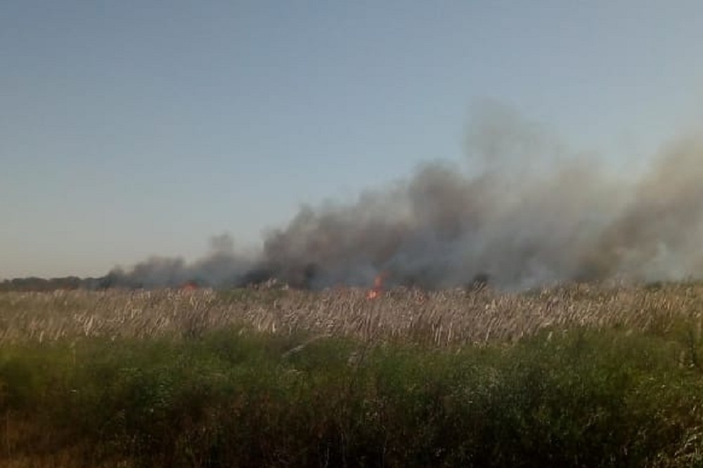 incendio en Balnearia río xanaes 2 by Fed Bomberos Voluntarios