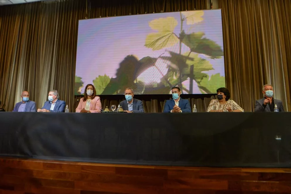 WhatsApp Image 2022-04-18 at 8.12.23 PM