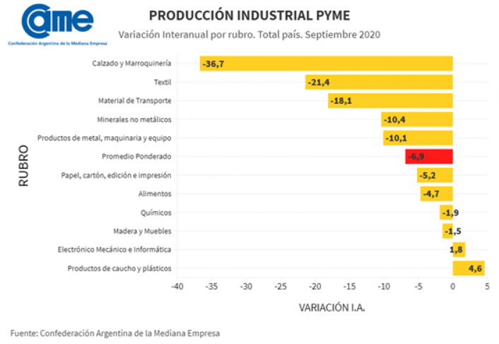 Produccion industrial CAME 1