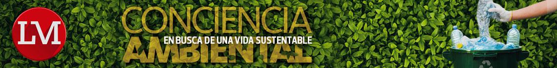 Suple 19 - Vida Sustentable IX - Bnr