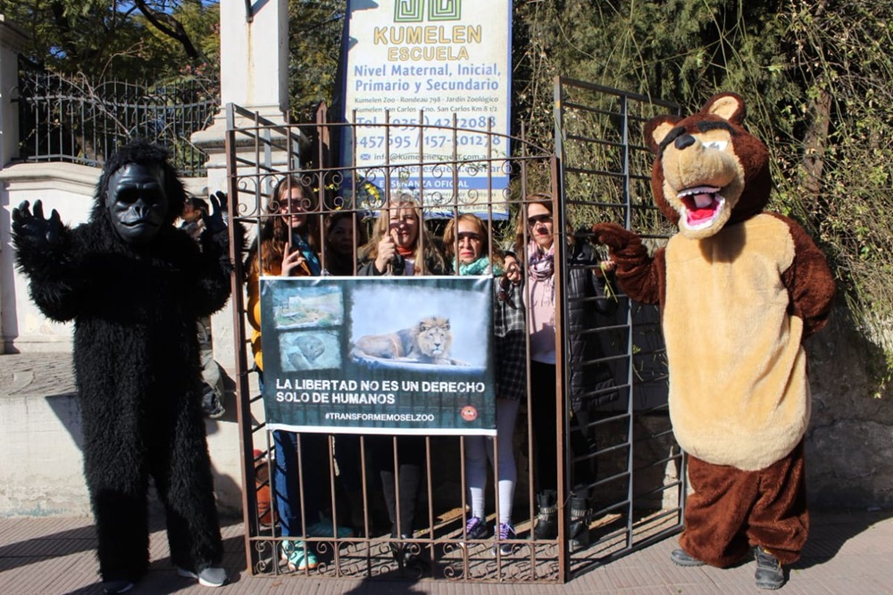 zoo2