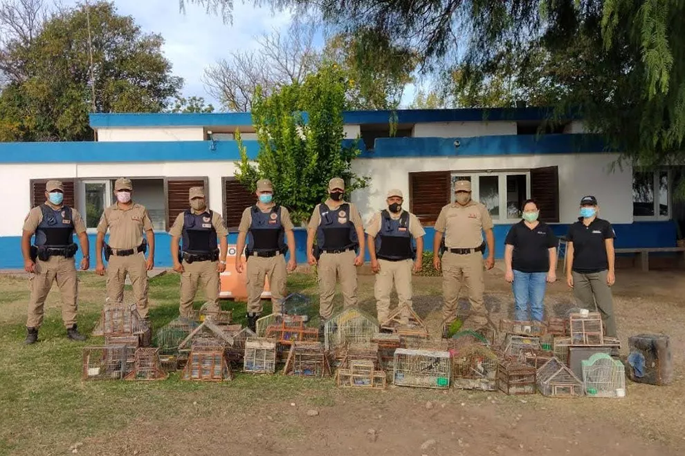Rescate de aves silvestres (Gobierno de Córdoba) 2