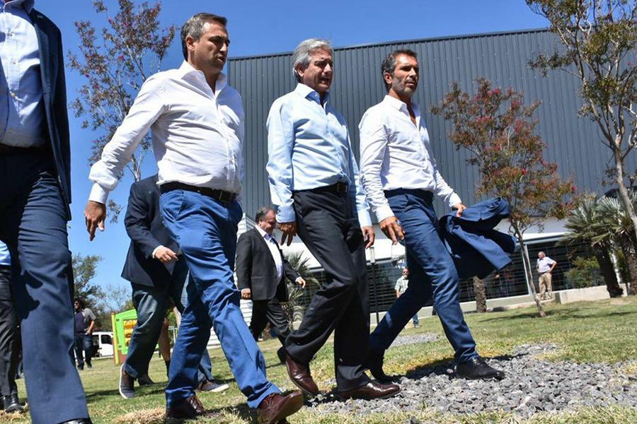 Mestre-Cossar
