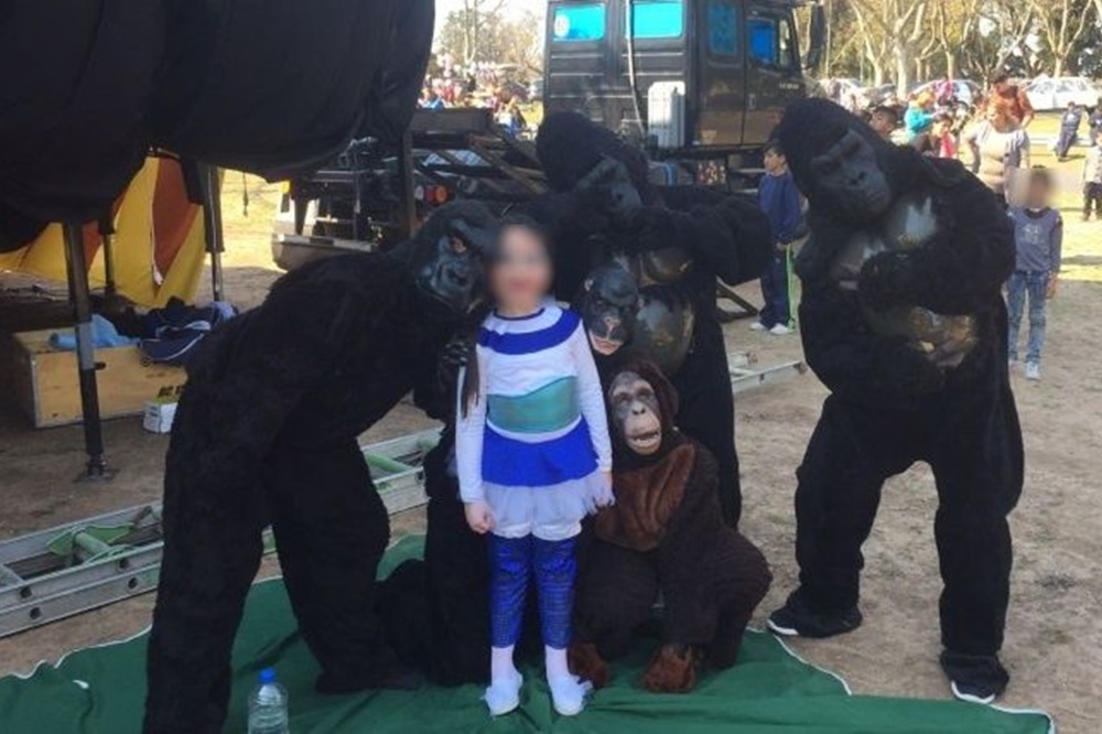 circo de peluches Rosario 3 b