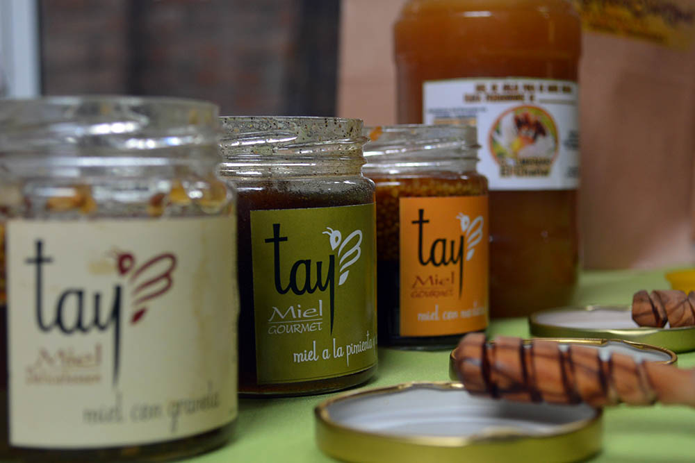 Gastronomia San Marcos00001