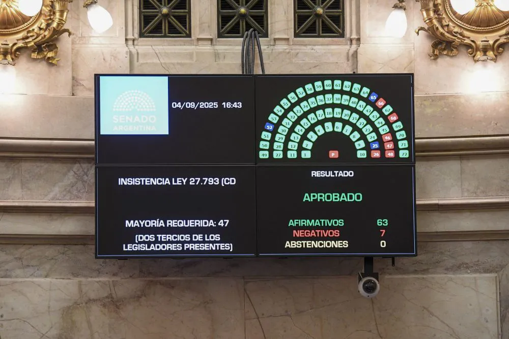 Emergencia en Discapacidad: qué cambia en pensiones y pagos a prestadores tras el abrumador voto en Senadores thumbnail