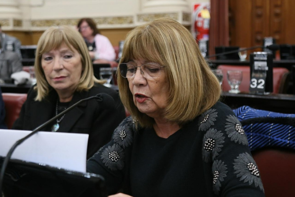 Carmen Ceballos Legislatura