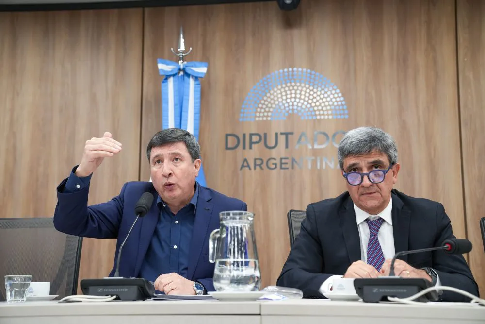 Supuestas coimas: el ministro de Salud y el interventor de la Agencia de Discapacidad no asistieron a Diputados thumbnail