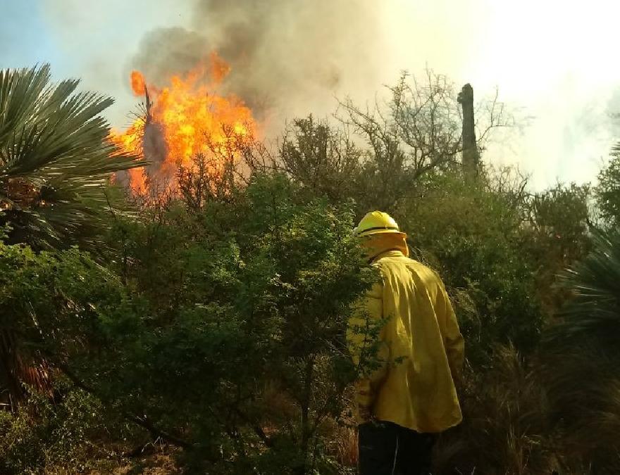 INCENDIO @ClaudioVignetta