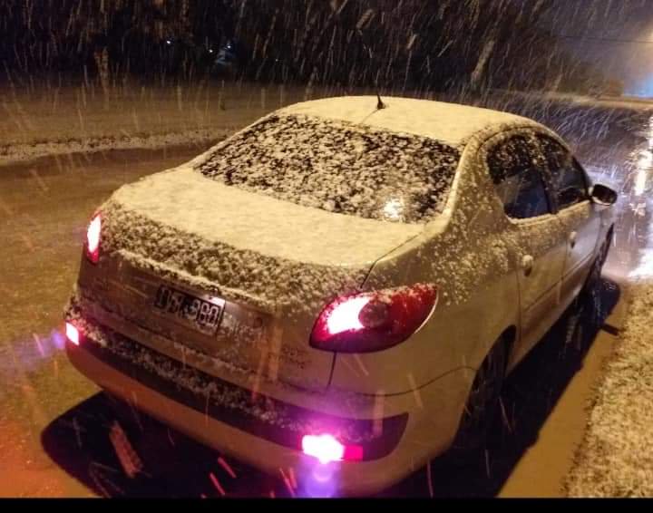 nieve loberia 4