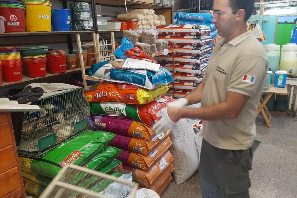 Rescate de aves silvestres en Arroyito (Gobierno de Córdoba) 2