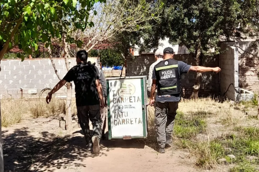 Rescate de fauna silvestre (Gobierno de Córdoba)