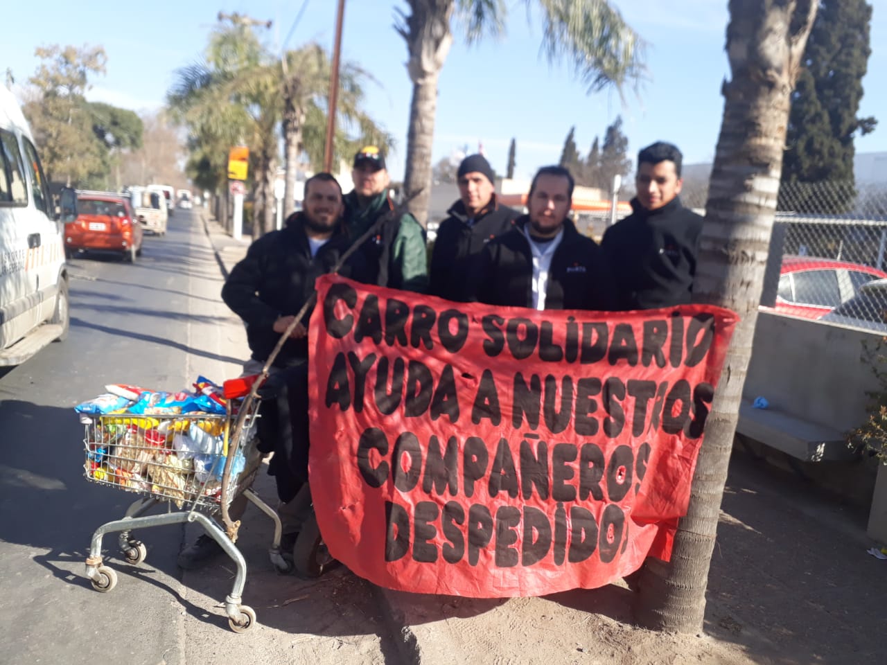 porta dos8