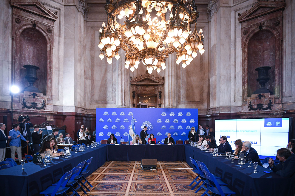 Obtuvo dictamen la reforma de la Ley de Salud Mental que habilita internaciones involuntarias thumbnail