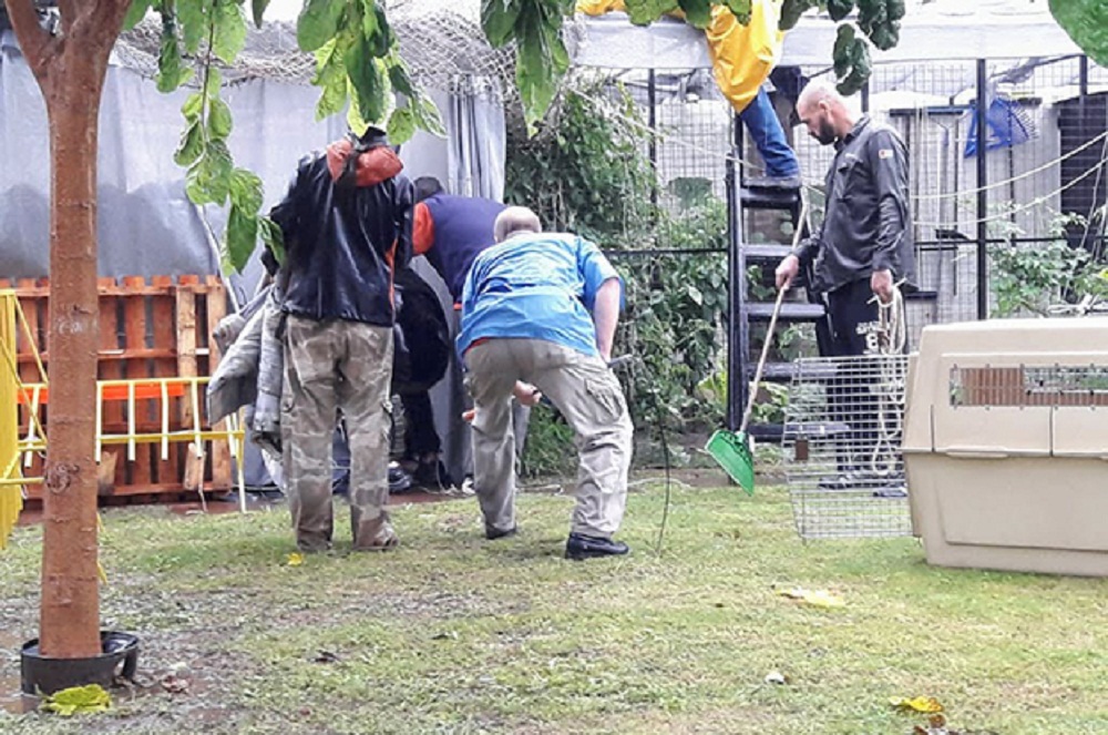 puma en cautiverio rio tercero foto prensa del gobierno de cordoba 2