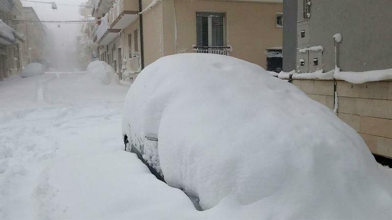 ola polar 3 