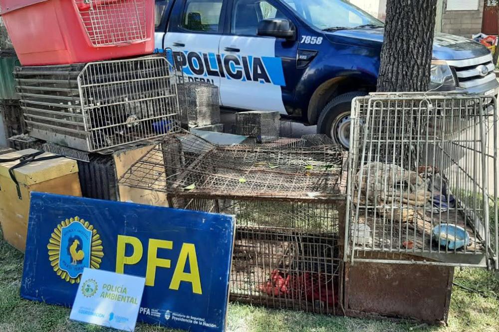 policia-ambiental2