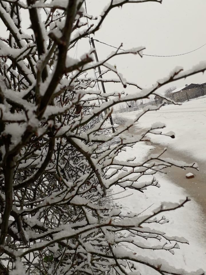 san pedro norte nieve 67