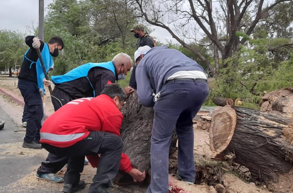 Defensa civil municipal trabaja luego del temporal de viento 14 10 2021