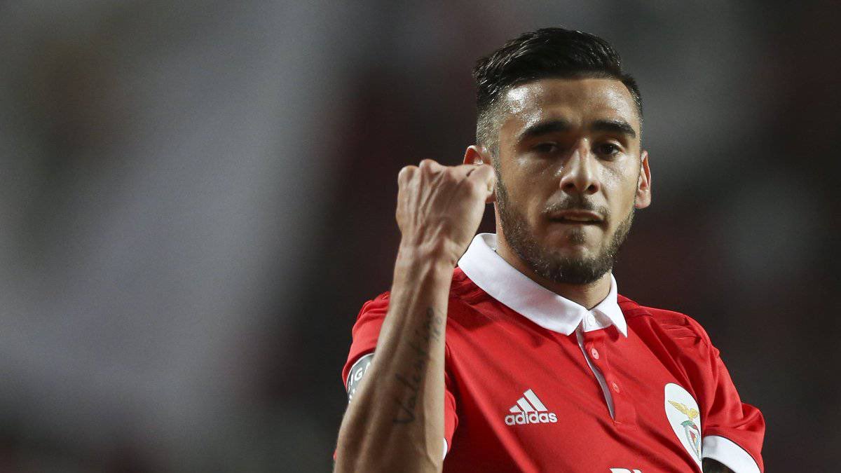 SALVIO toto