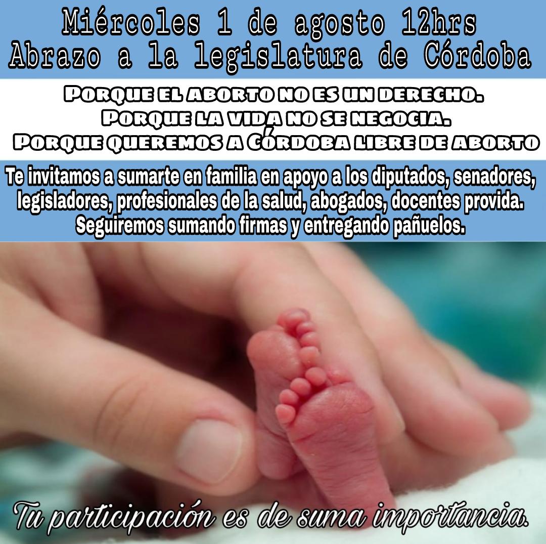 pañuelazo pro vida