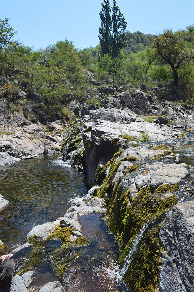 quebrachitos © Vanina Boco00005